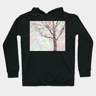 Spring Pale Cherry Blossoms Hoodie